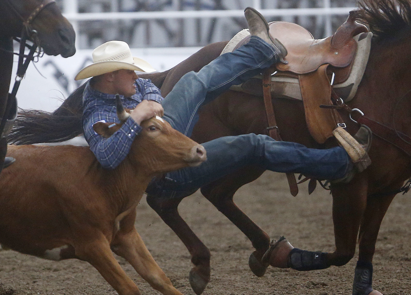 Home of Champions Rodeo